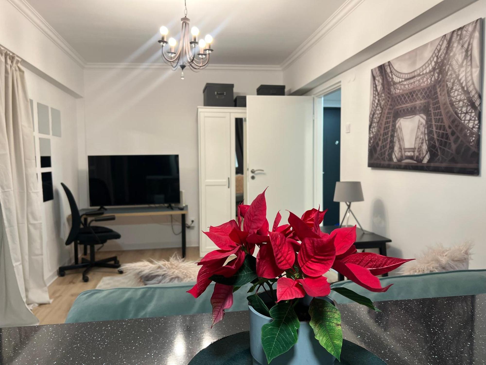 Cosy Studio Floreasca Bucureşti Eksteriør bilde