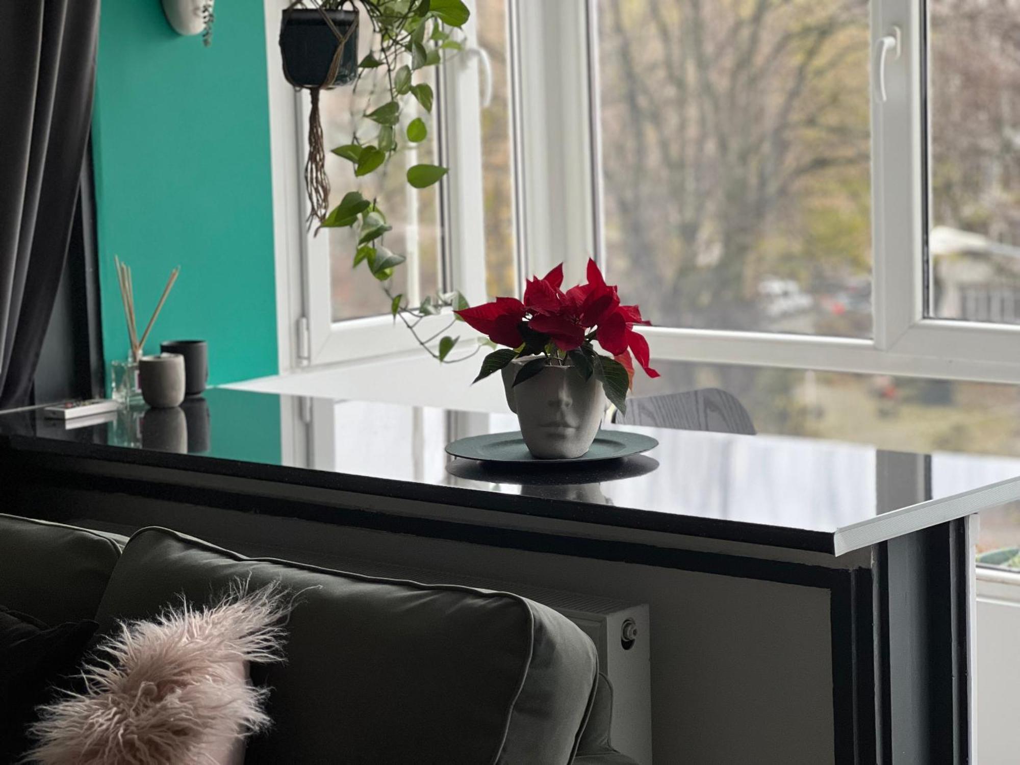 Cosy Studio Floreasca Bucureşti Eksteriør bilde