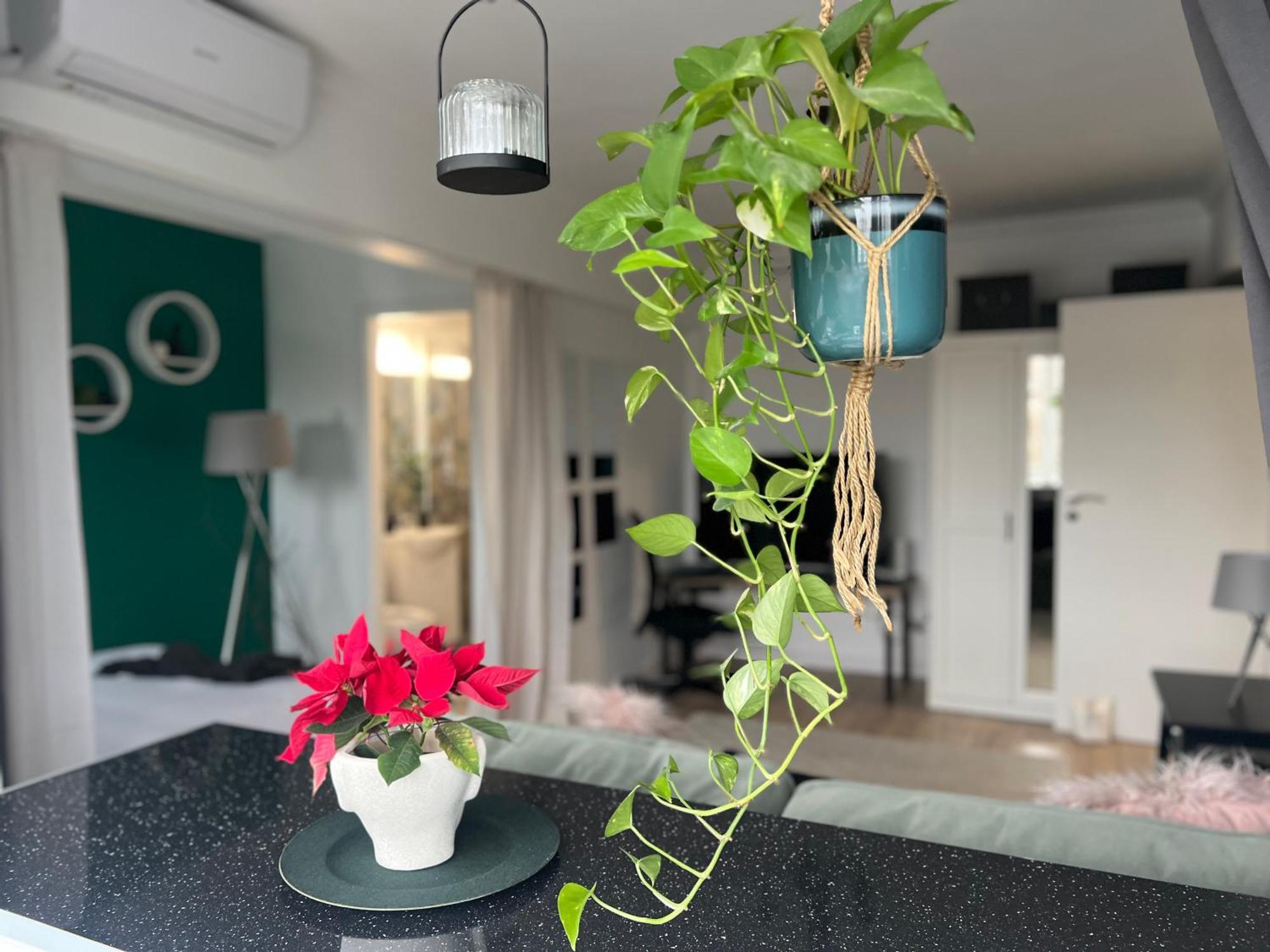 Cosy Studio Floreasca Bucureşti Eksteriør bilde