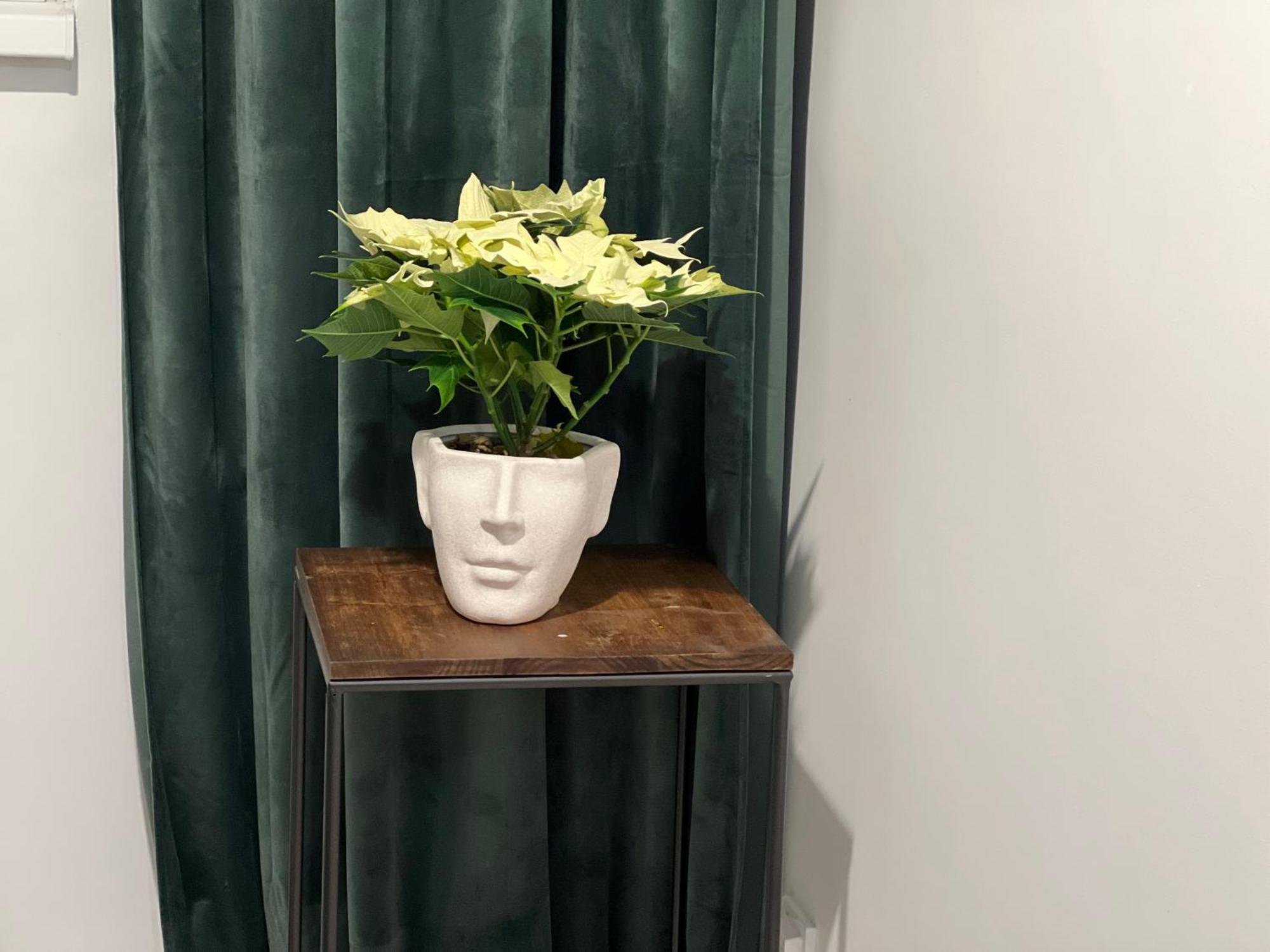 Cosy Studio Floreasca Bucureşti Eksteriør bilde